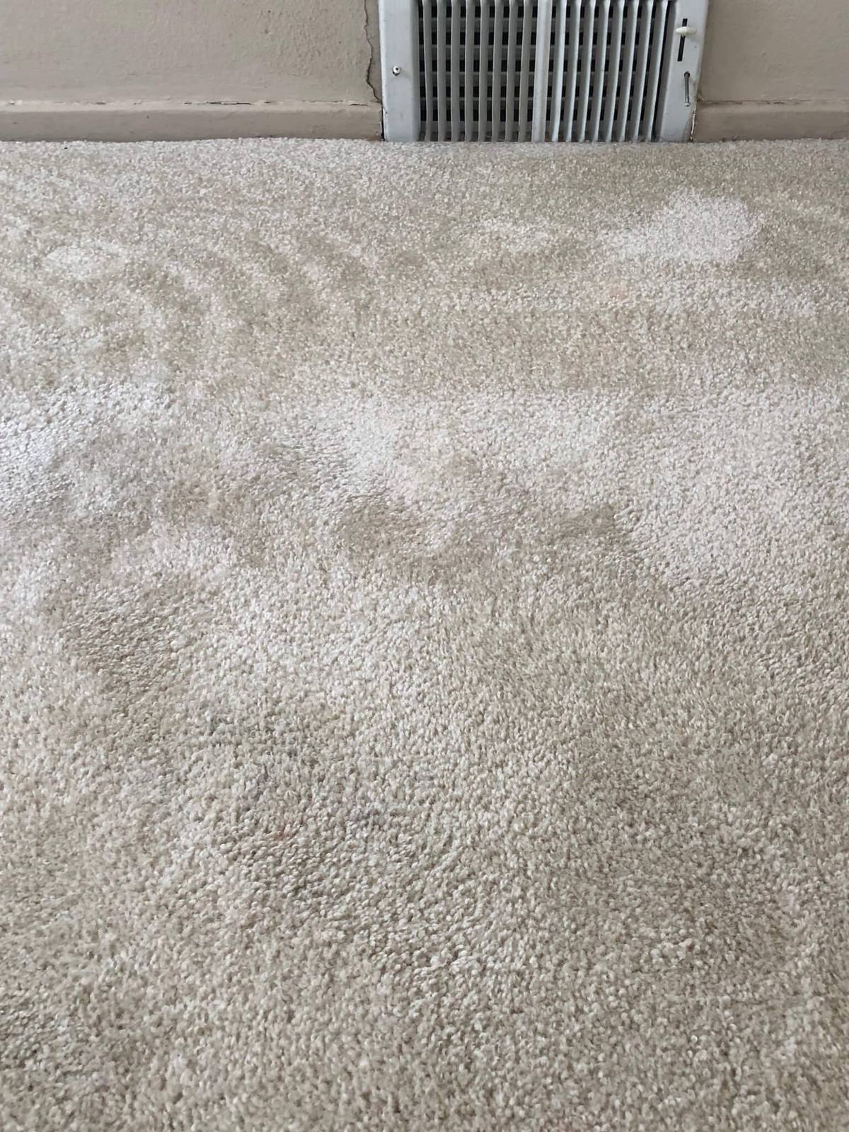 Carpet cleaning after service