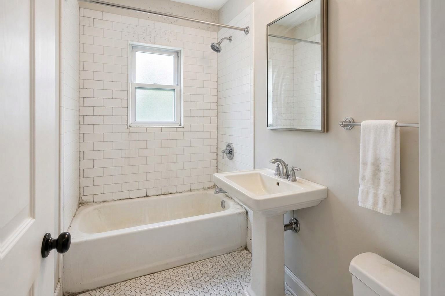 Mold remediation before professional service